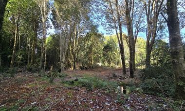 Parcela en Venta en SECTOR COLONIA - LA POZA