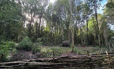 Parcela en Venta en SECTOR COLONIA - LA POZA
