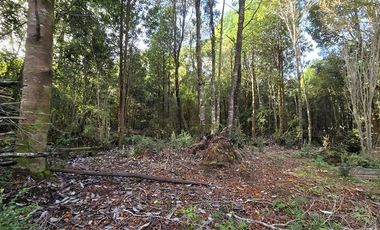 Parcela en Venta en SECTOR COLONIA - LA POZA
