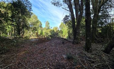 Parcela en Venta en SECTOR COLONIA - LA POZA