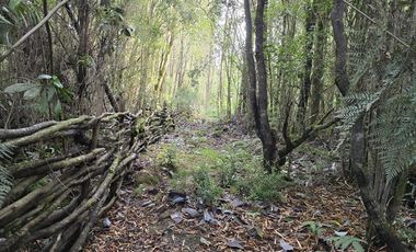 Parcela en Venta en SECTOR COLONIA - LA POZA