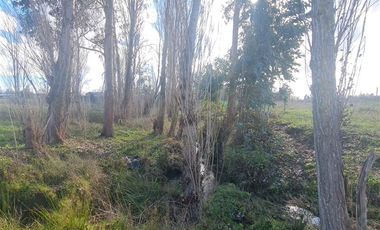 Sitio en Venta en Mirador Bio Bio con ruta 5 sur