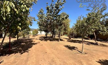 Parcela en Venta en Condominio Santa Maria de los Quillayes, Colliguay