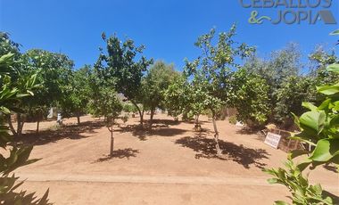 Parcela en Venta en Condominio Santa Maria de los Quillayes, Colliguay