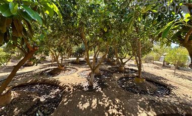 Parcela en Venta en Condominio Santa Maria de los Quillayes, Colliguay