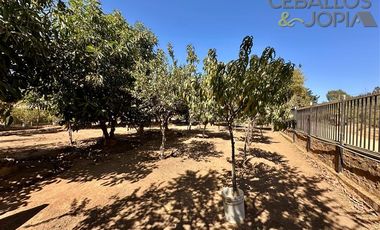 Parcela en Venta en Condominio Santa Maria de los Quillayes, Colliguay