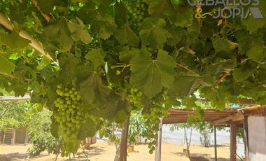 Parcela en Venta en Condominio Santa Maria de los Quillayes, Colliguay