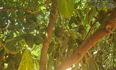 Parcela en Venta en Condominio Santa Maria de los Quillayes, Colliguay