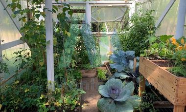 Casa en Venta en Altos de Punucapa