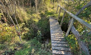 Parcela en Venta en Vega Ancoa, precordillera de Linares
