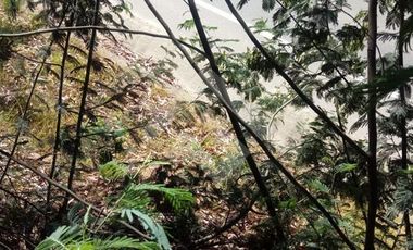 Parcela en Venta en CRUCE DE NIRIVILO CARRETERA DE SAN JAVIER A CONSTITUCIÓN