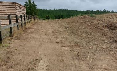 Parcela en Venta en Alto Colorado - Pichilemu