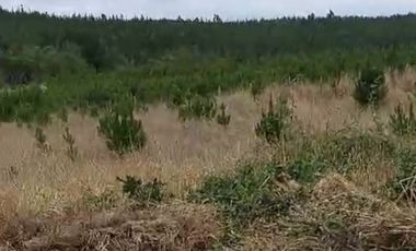 Parcela en Venta en Alto Colorado - Pichilemu