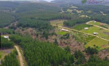 Parcela en Venta en Alto Colorado - Pichilemu