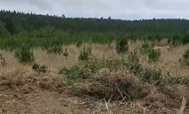 Parcela en Venta en Alto Colorado - Pichilemu