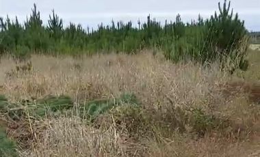 Parcela en Venta en Alto Colorado - Pichilemu
