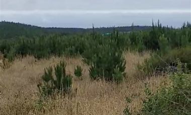 Parcela en Venta en Alto Colorado - Pichilemu
