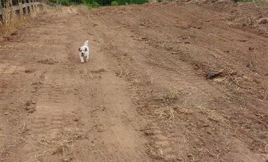 Parcela en Venta en Alto Colorado - Pichilemu