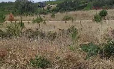 Parcela en Venta en Alto Colorado - Pichilemu