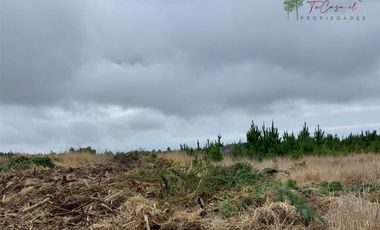 Parcela en Venta en Alto Colorado - Pichilemu