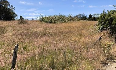 Parcela en Venta en Huicha-Pucatu