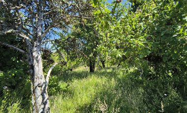 Parcela en Venta en Huicha-Pucatu