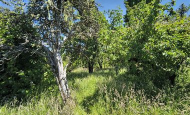 Parcela en Venta en Huicha-Pucatu