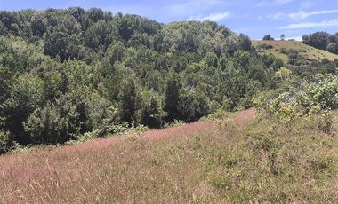 Parcela en Venta en Huicha-Pucatu