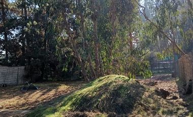 Casa en Venta en Casa en Algarrobo Ideal segunda propiedad