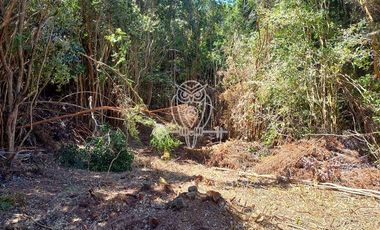 Parcela en Venta en Camino a puntilla , Ilque