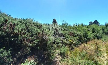 Parcela en Venta en Camino a puntilla , Ilque