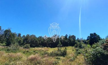 Parcela en Venta en Camino a puntilla , Ilque