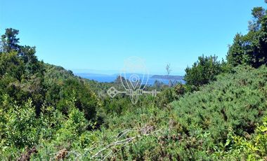 Parcela en Venta en Camino a puntilla , Ilque