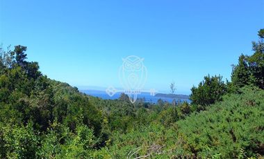 Parcela en Venta en Camino a puntilla , Ilque