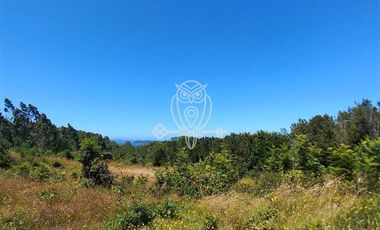 Parcela en Venta en Camino a puntilla , Ilque