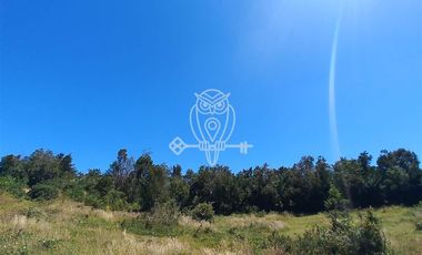 Parcela en Venta en Camino a puntilla , Ilque