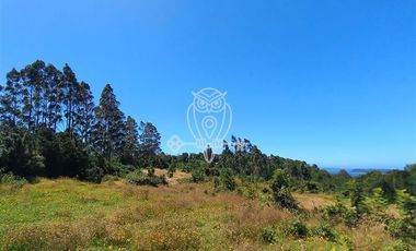 Parcela en Venta en Camino a puntilla , Ilque