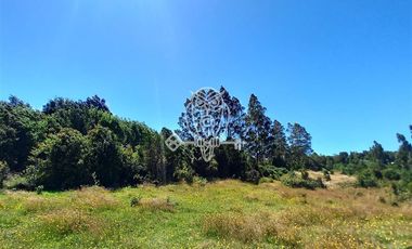 Parcela en Venta en Camino a puntilla , Ilque