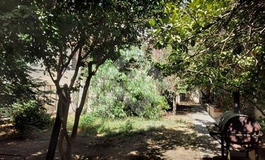 Local Comercial en Arriendo en Astorga / Ocarrol
