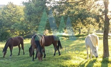 Casa en Venta en Los Lagos