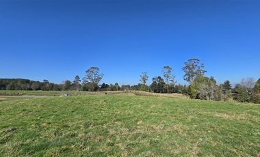 Parcela en Venta en Condominio El Parque - Puerto Varas