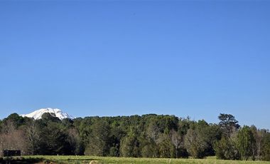Parcela en Venta en Condominio El Parque - Puerto Varas