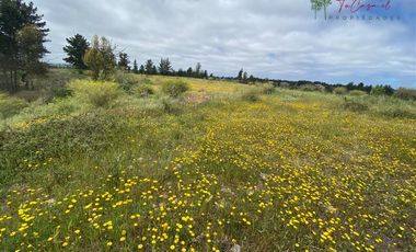 Casa en Venta en Campo Alegre - Rio Rapel - Santo Domingo