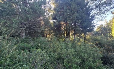 Parcela en Venta en Condominio Lagunitas