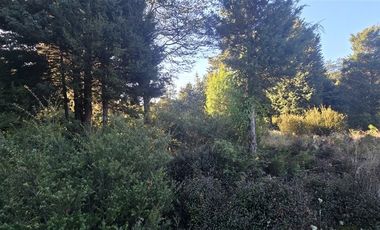 Parcela en Venta en Condominio Lagunitas