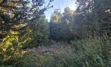 Parcela en Venta en Condominio Lagunitas