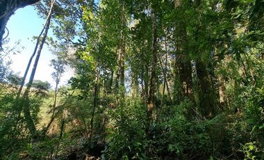 Parcela en Venta en Lomas del Mirador
