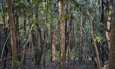 Parcela en Venta en Río Notué