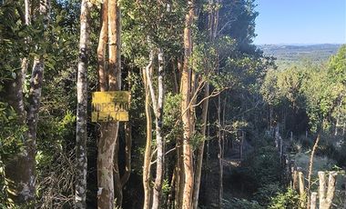 Parcela en Venta en Río Notué