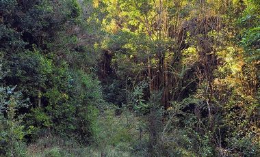 Parcela en Venta en Río Notué